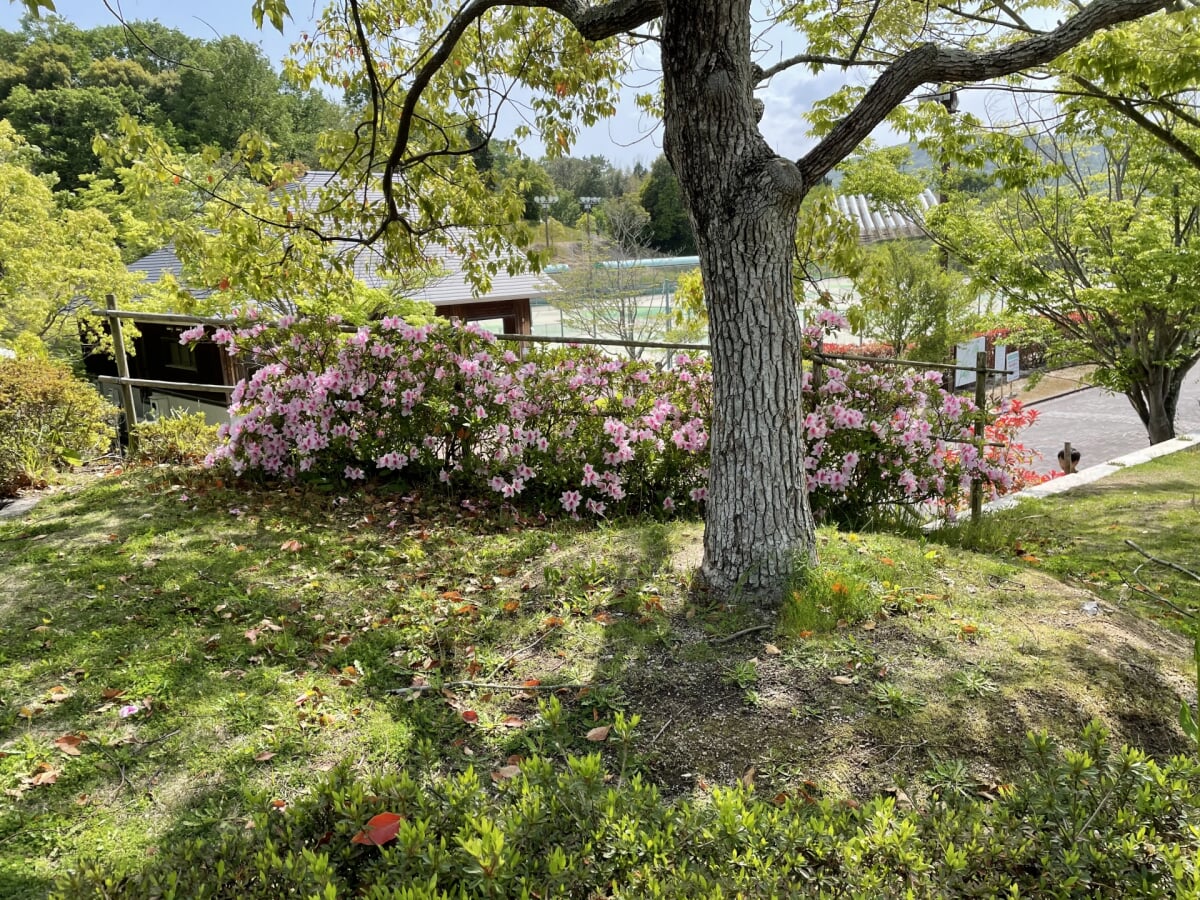 山陽ふれあい公園の写真2