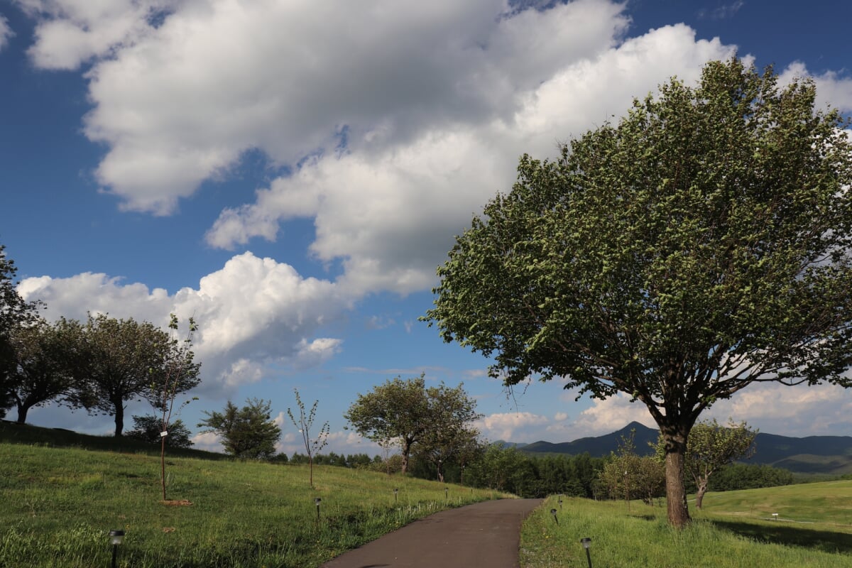 安比高原の写真3