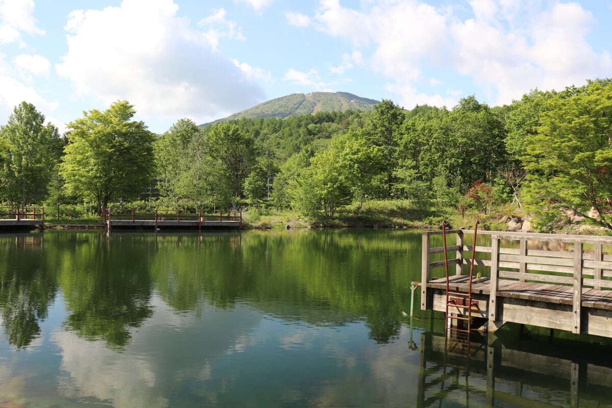 安比高原の写真5