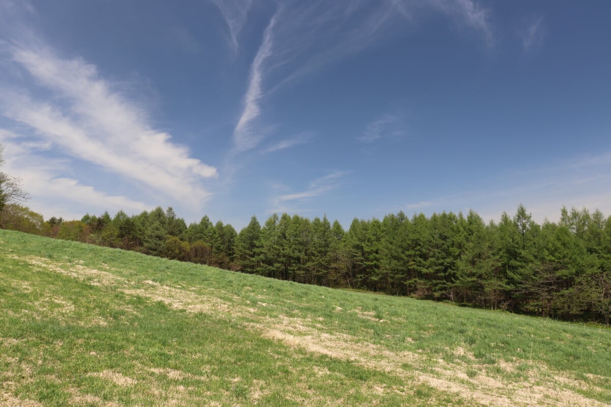 安比高原の写真6