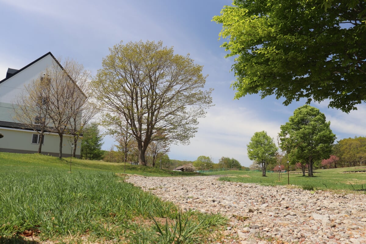 安比高原の写真7