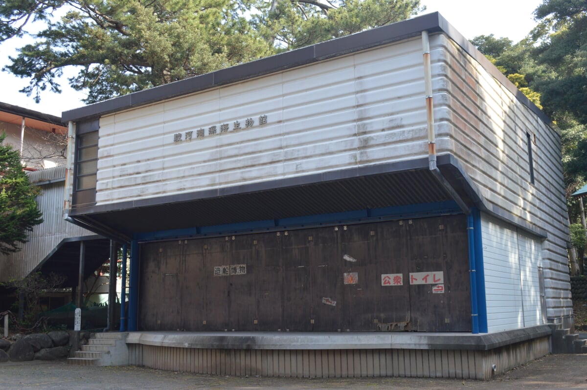 駿河湾深海生物館の写真2