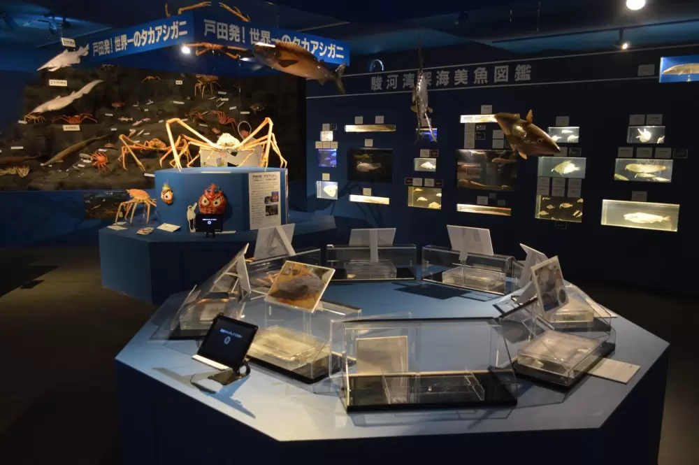駿河湾深海生物館の写真1