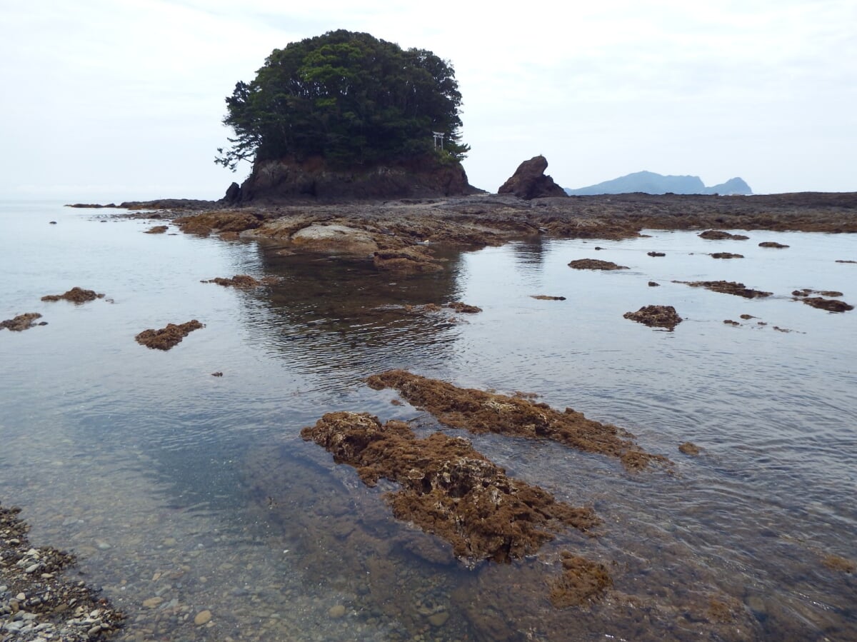 モラスコむぎ 貝の資料館・漁師さんの水族館の写真2