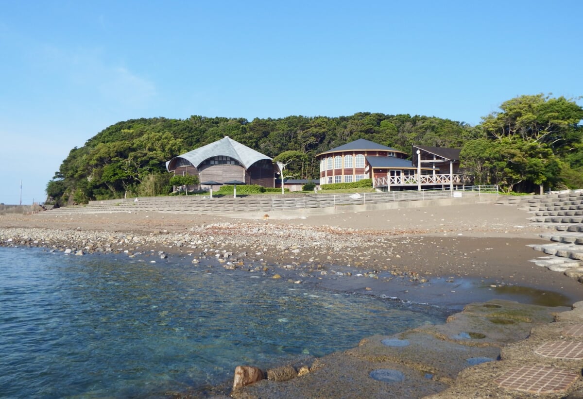 モラスコむぎ 貝の資料館・漁師さんの水族館の写真3