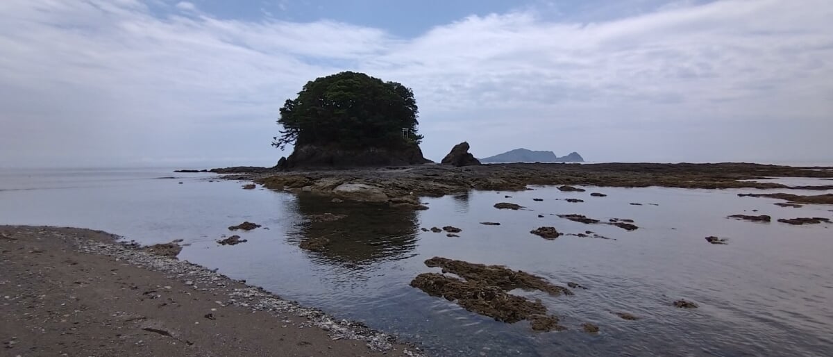 モラスコむぎ 貝の資料館・漁師さんの水族館の写真4
