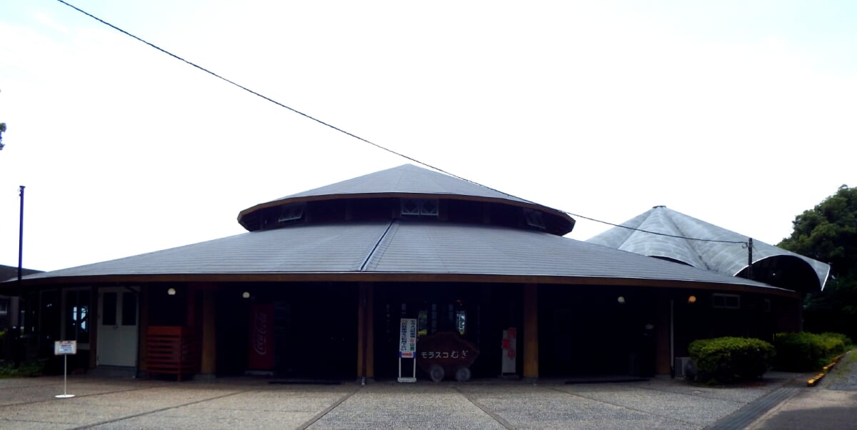 モラスコむぎ 貝の資料館・漁師さんの水族館の写真1