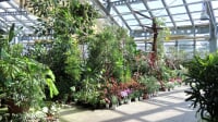 南砺市園芸植物園フローラルパーク
