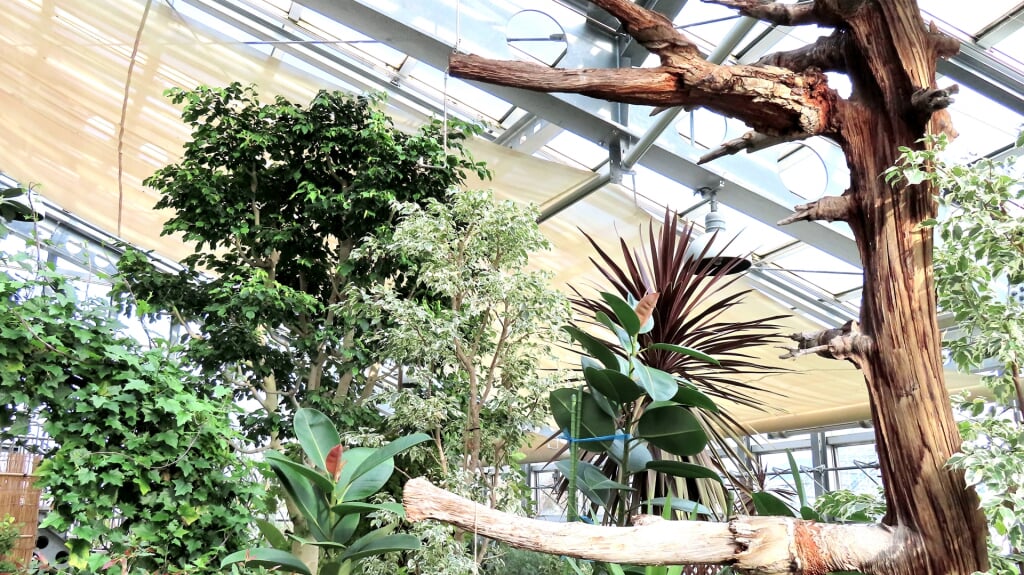 南砺市園芸植物園フローラルパークの写真3