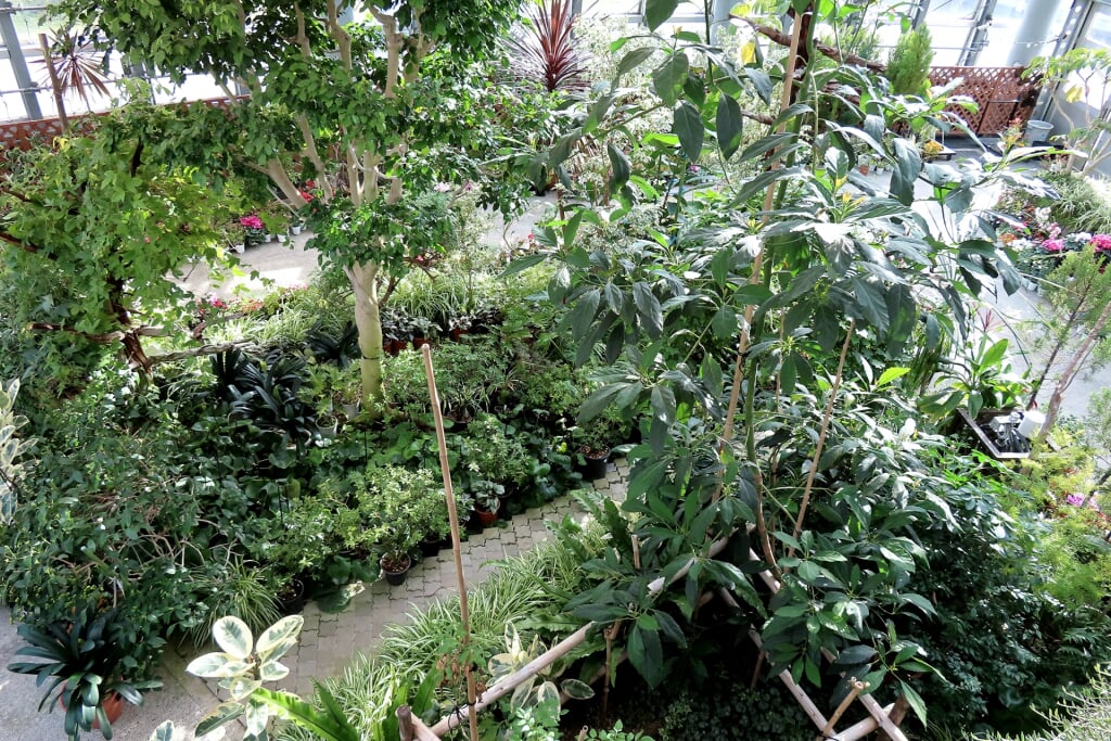 南砺市園芸植物園フローラルパークの写真4