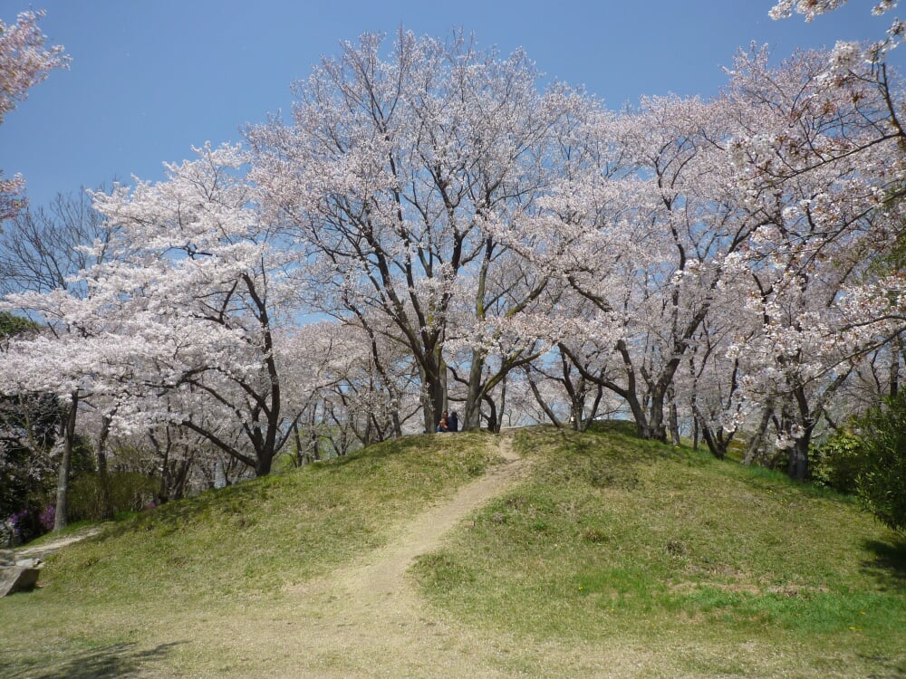 半田山植物園の写真2