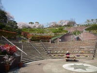 半田山植物園
