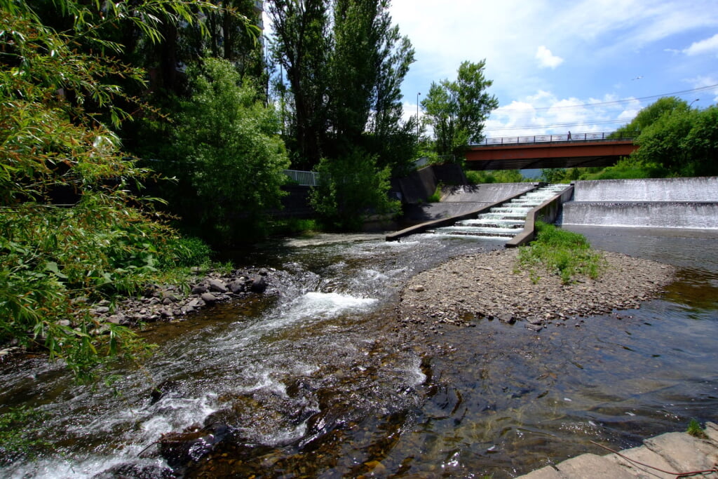 発寒公園の写真4