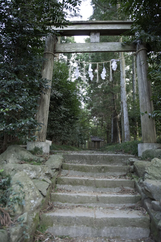 香取神宮の写真5