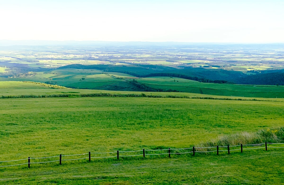 ナイタイ高原牧場の写真2