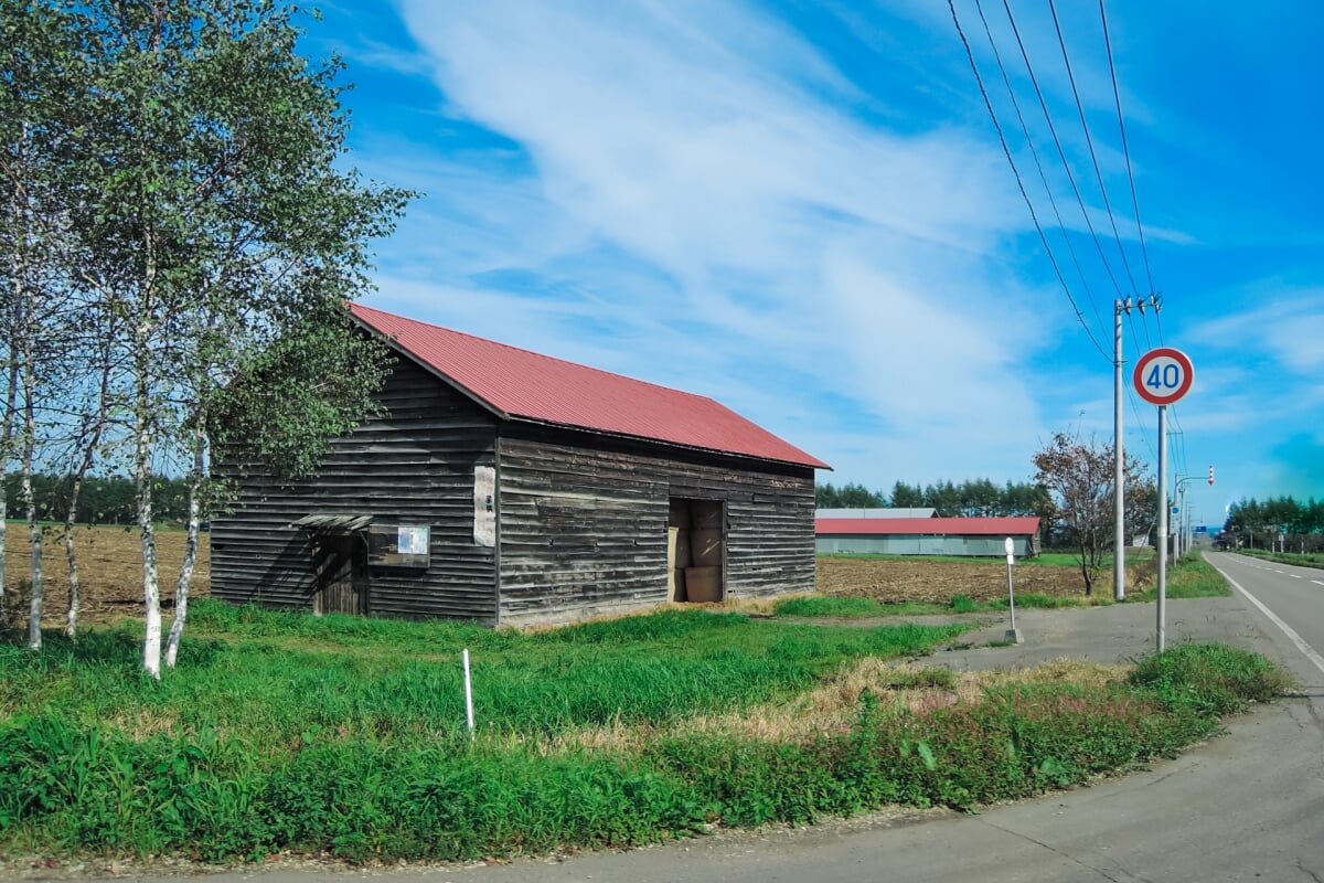 ナイタイ高原牧場の写真3