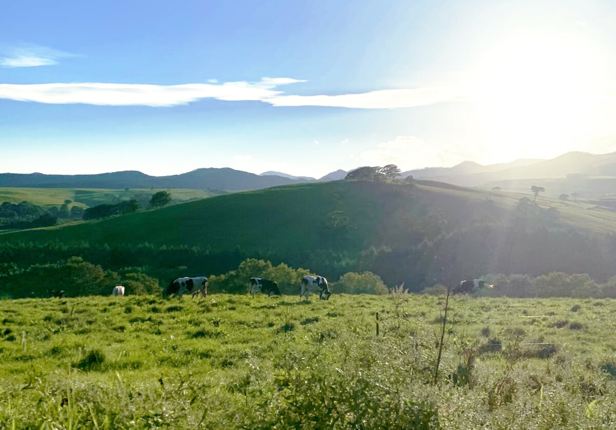 ナイタイ高原牧場の写真7