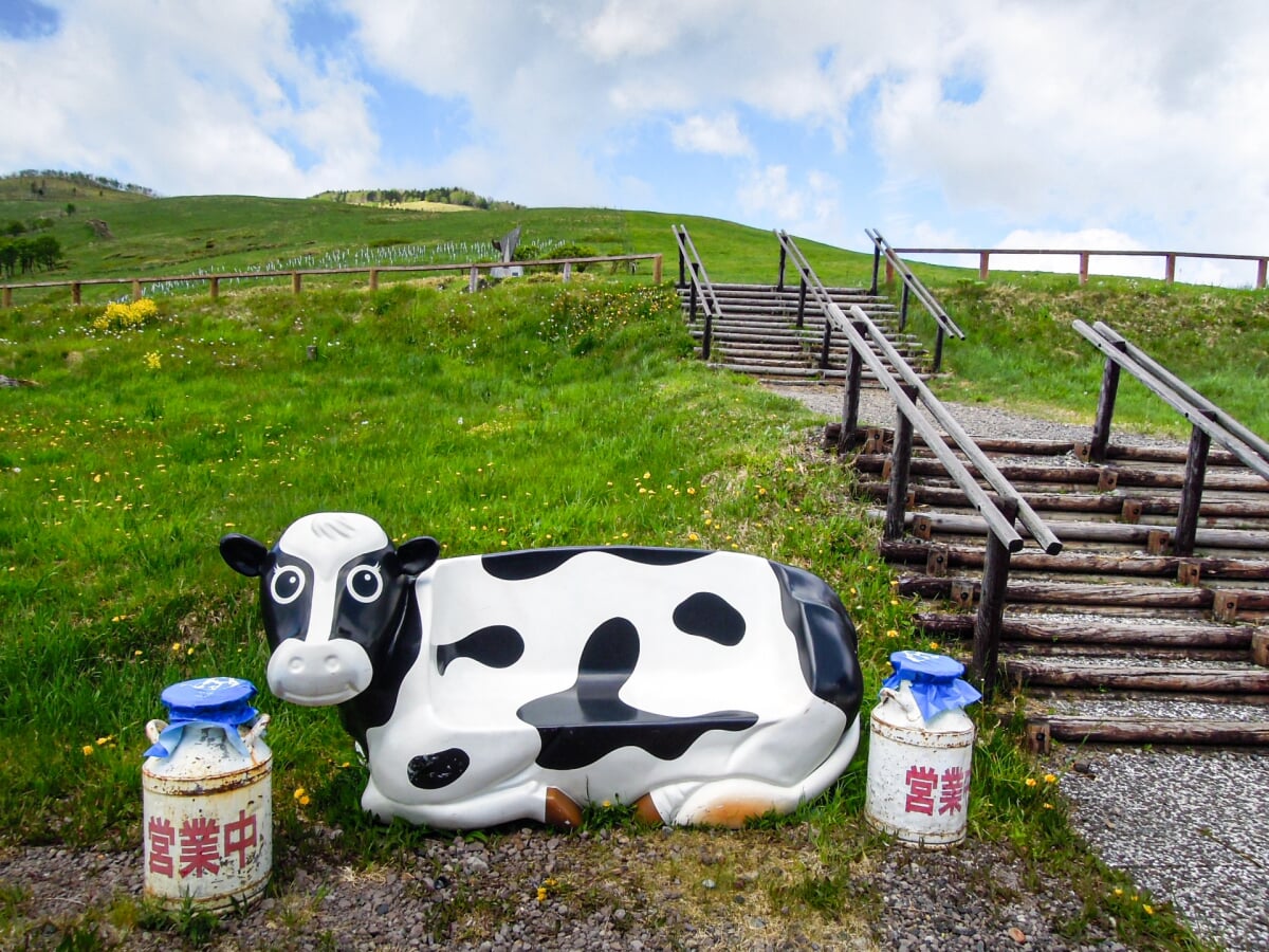 ナイタイ高原牧場の写真1