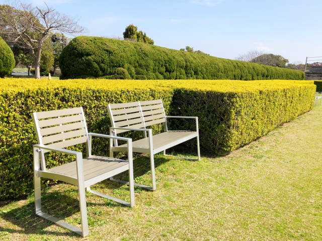 海の中道海浜公園の写真4