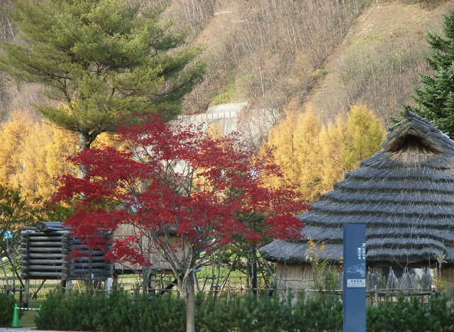 札幌市アイヌ文化交流センター　サッポロピリカコタンの写真1