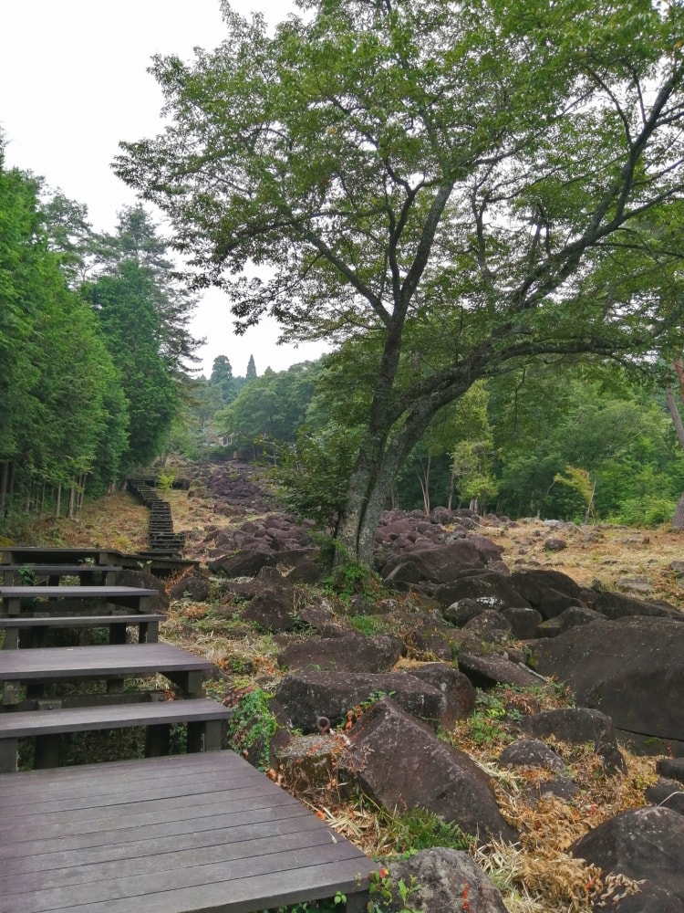 フォレストパーク神野山の写真2