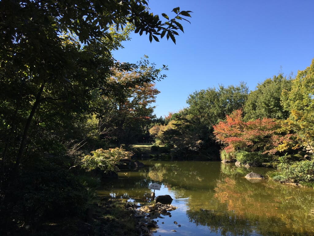 足立区立郷土博物館の写真9