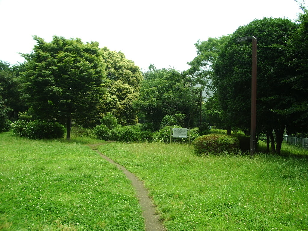 青山公園の写真2