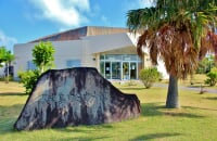 久米島ウミガメ館