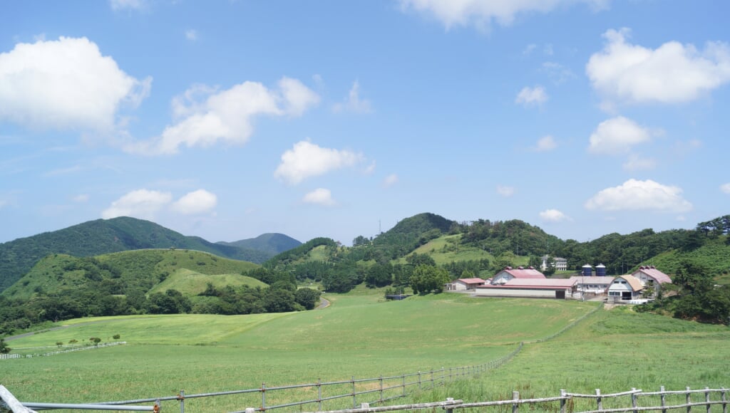 京都府畜産技術センター 碇高原牧場の写真5