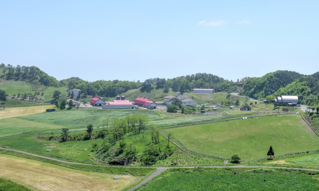 京都府畜産技術センター 碇高原牧場の写真6