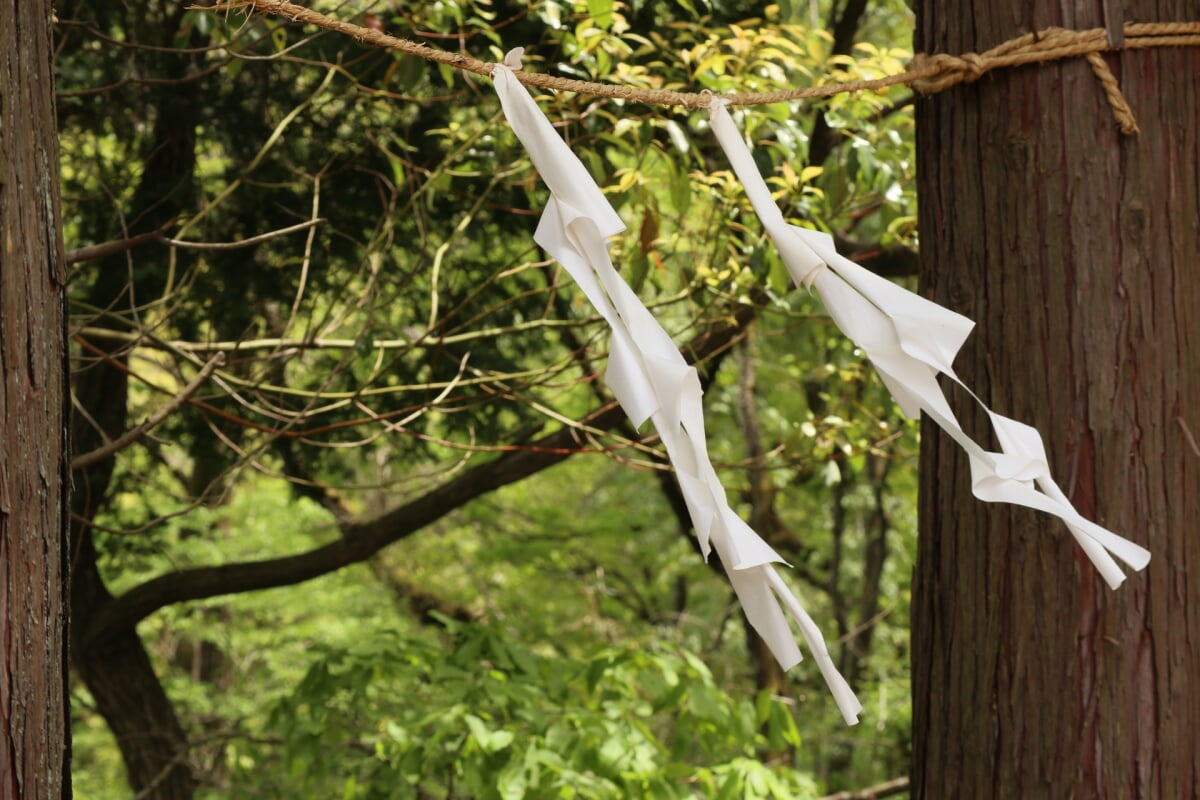 小峰公園の写真2