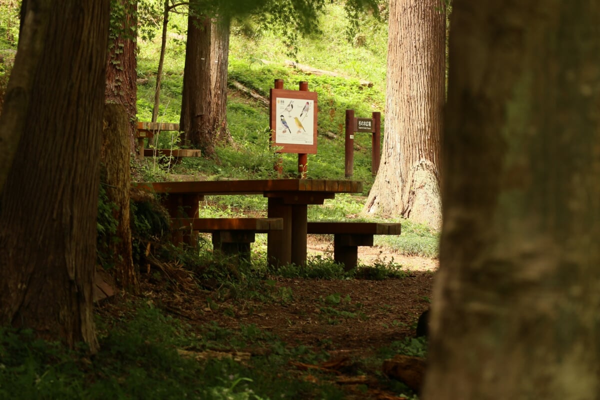 小峰公園の写真1
