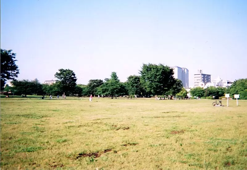 木場公園の写真1