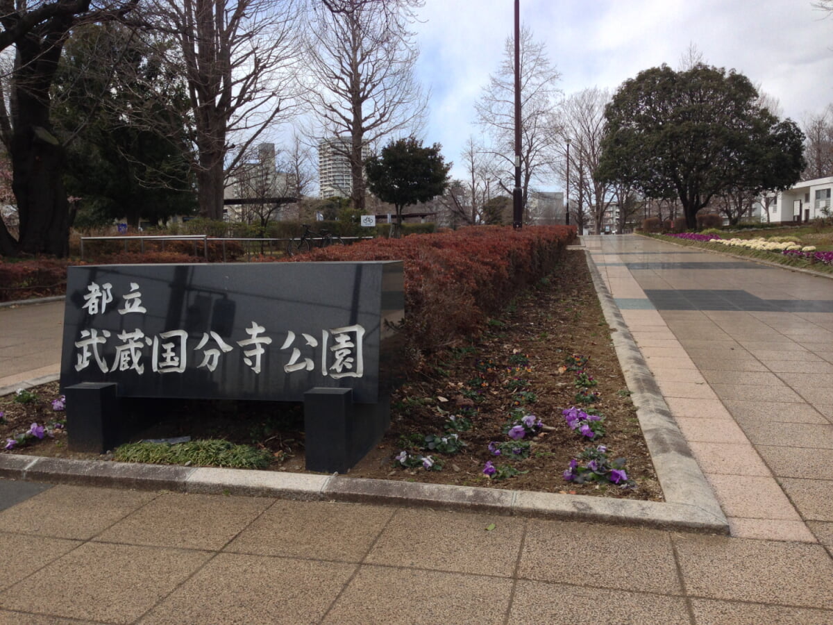 都立武蔵国分寺公園の写真1