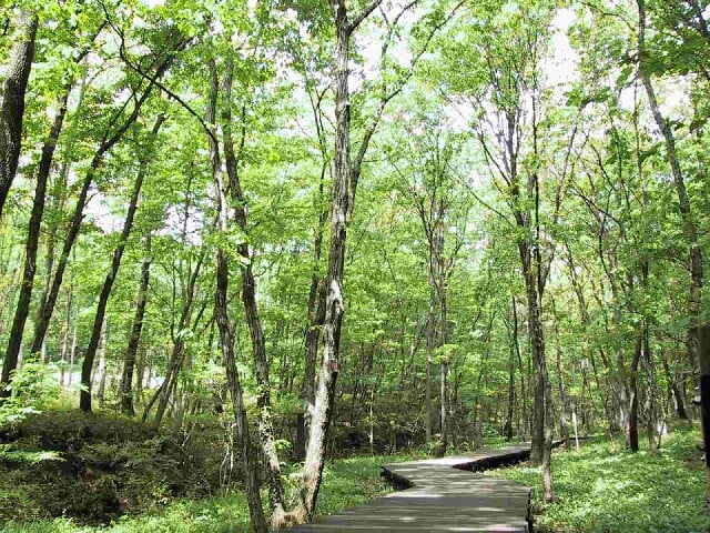 小宮公園の写真1