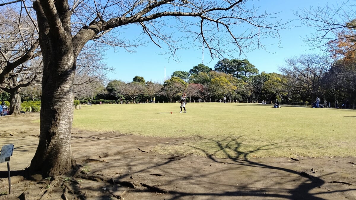 長久保公園都市緑化植物園の写真2