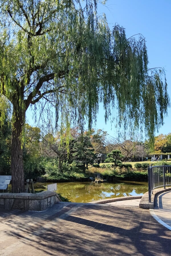 長久保公園都市緑化植物園の写真3