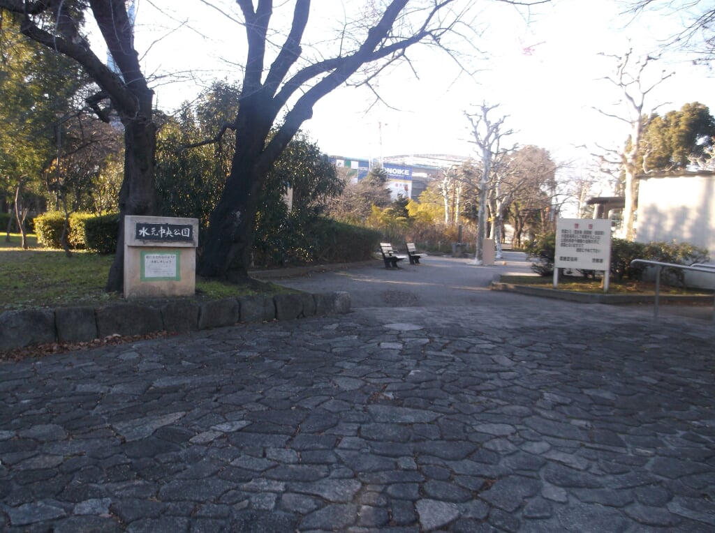水元中央公園の写真3