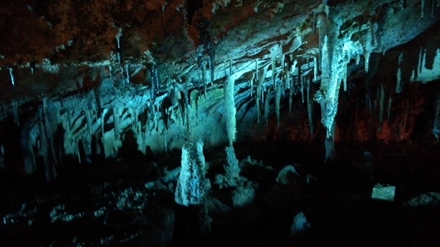 面不動鍾乳洞の写真3