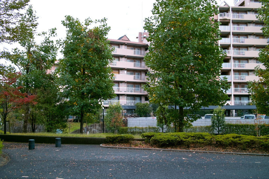 真光寺公園の写真2