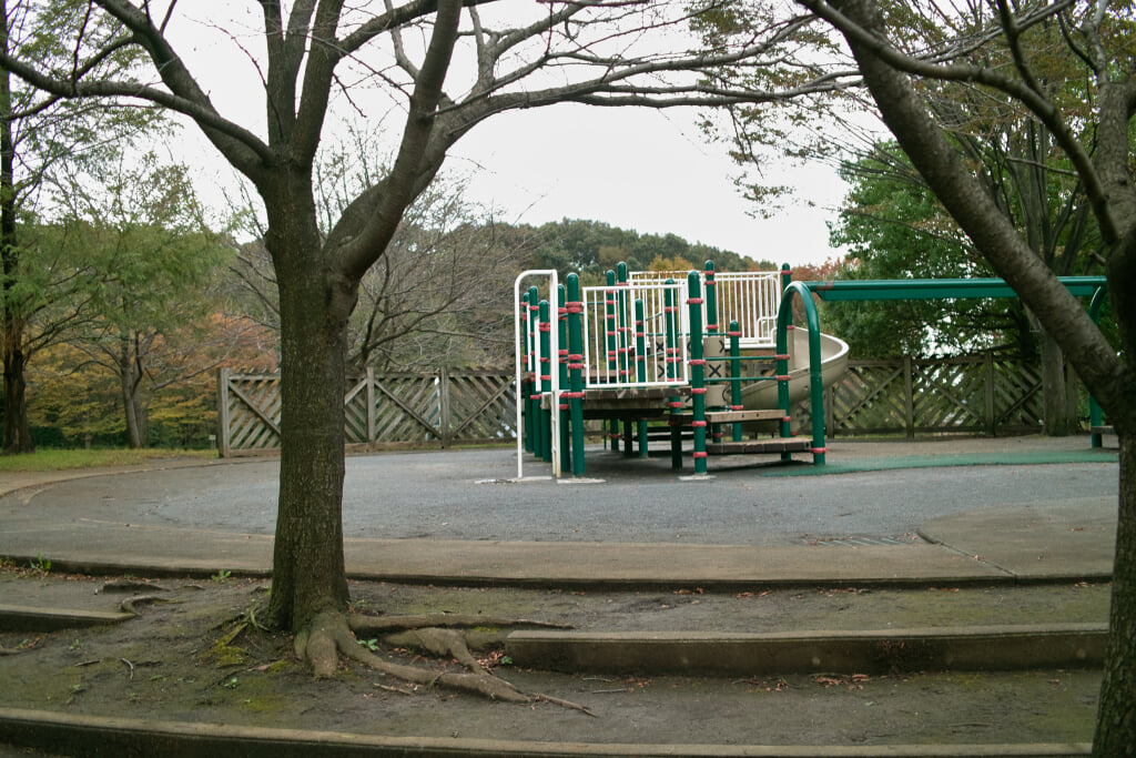 真光寺公園の写真3