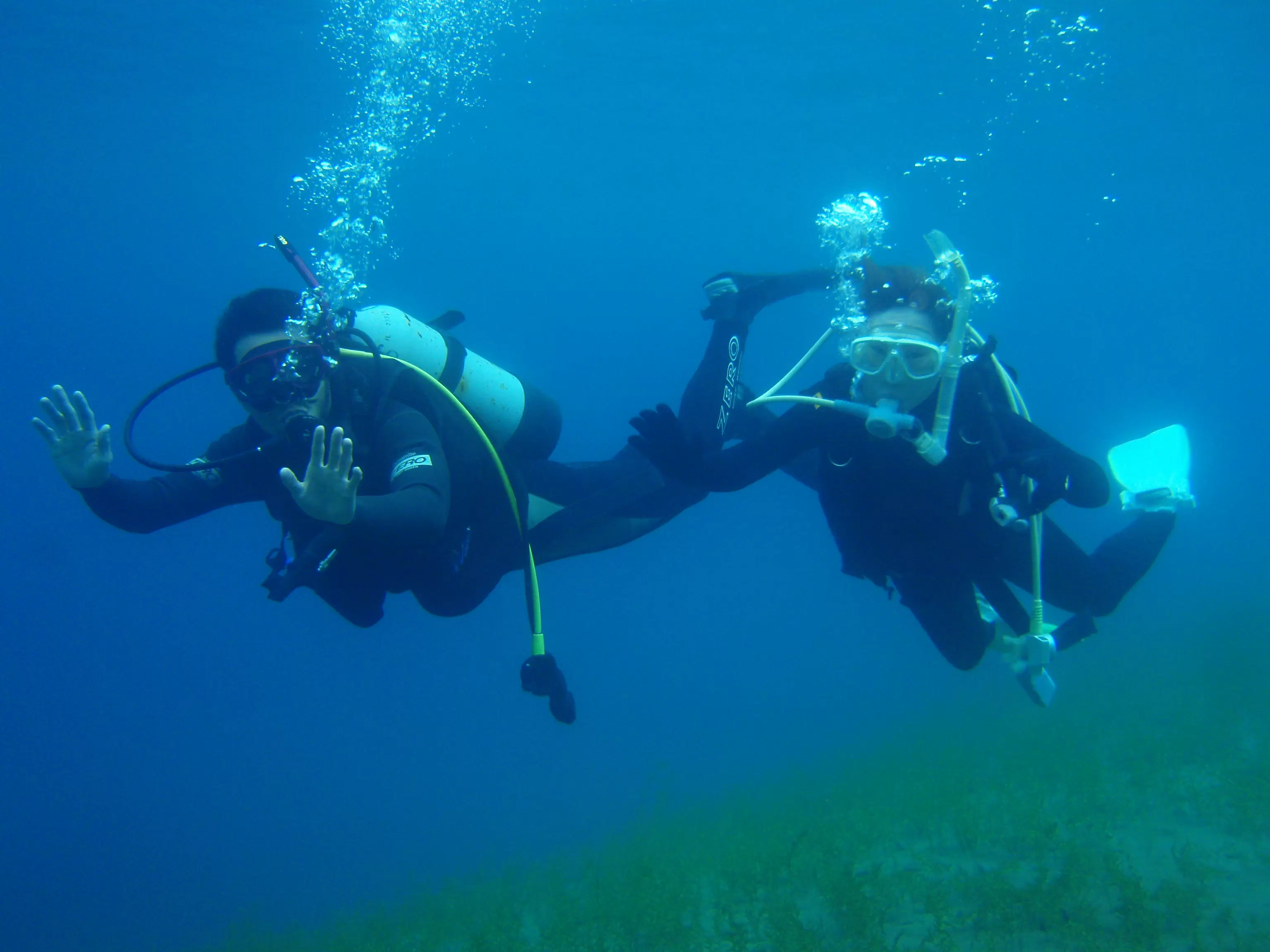 Ocean Daysの写真1