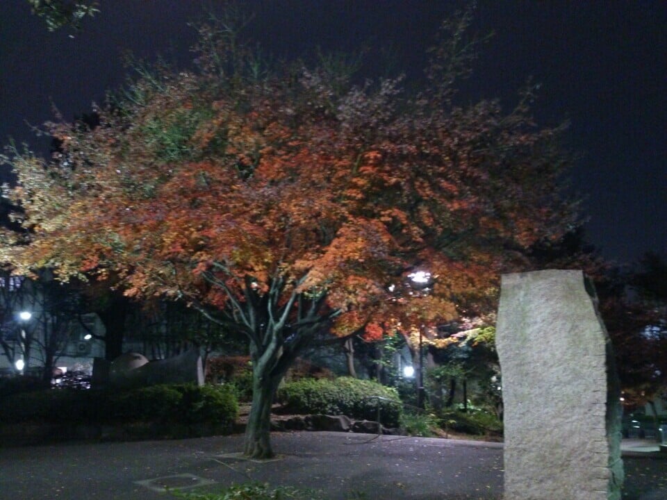 紅葉山公園の写真3