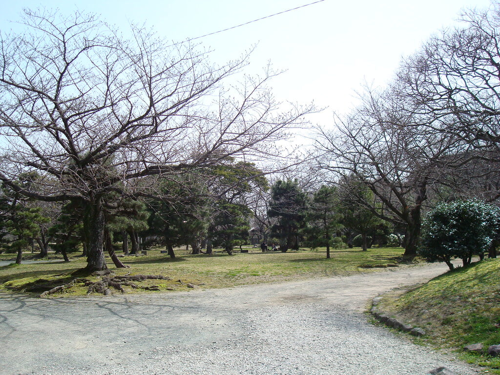 舞鶴公園の写真5