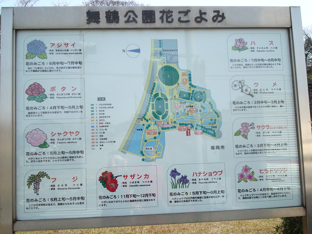 舞鶴公園の写真6