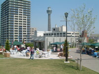 横浜市　アメリカ山公園