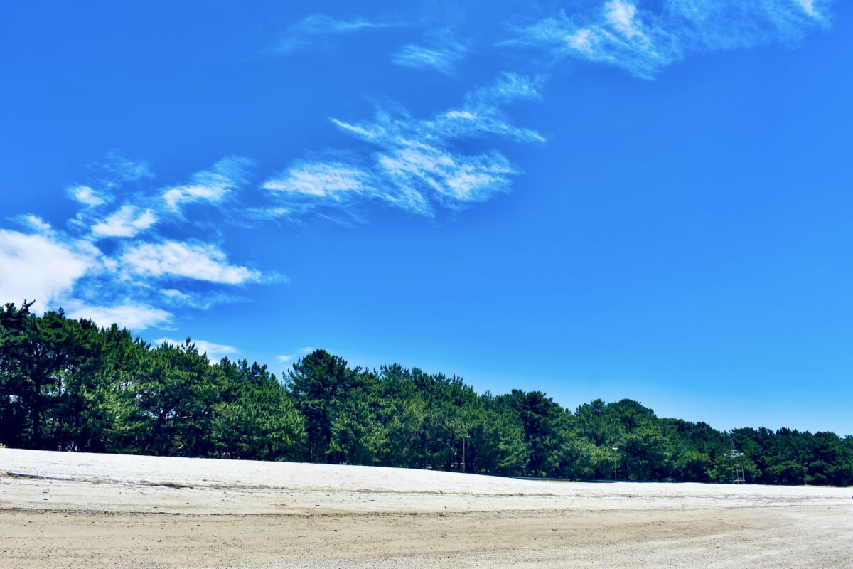 虹ヶ浜海水浴場の写真4