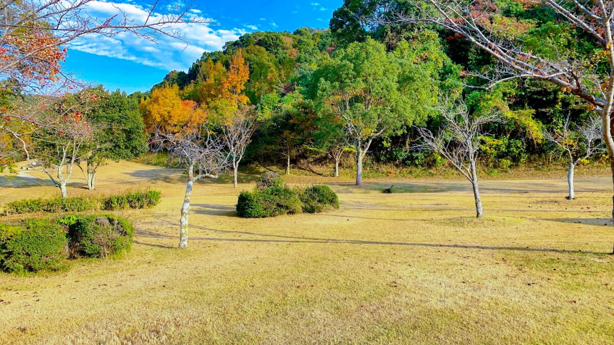 県営 筑豊緑地 の写真2