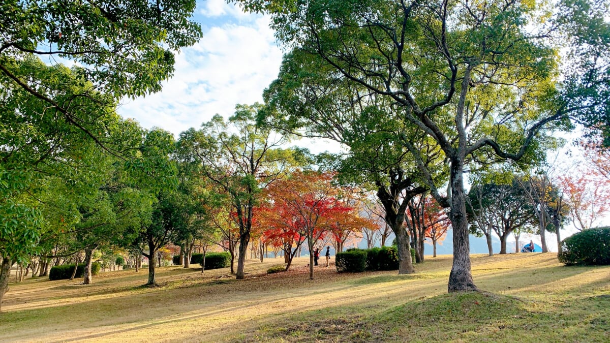 県営 筑豊緑地 の写真9