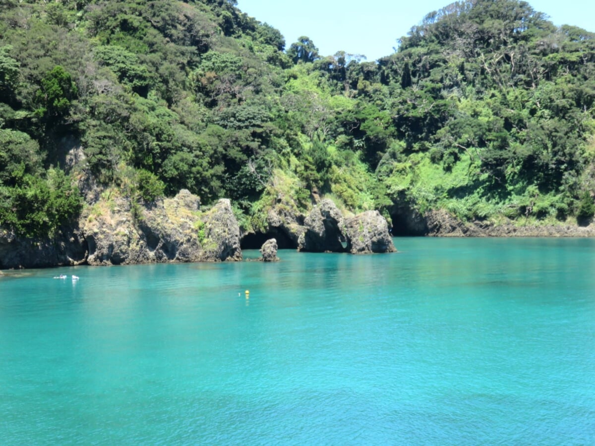 田子瀬浜海水浴場の写真3